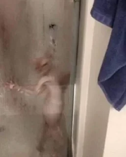 Стикер китики 2.0 | @Stick4Gram - 8