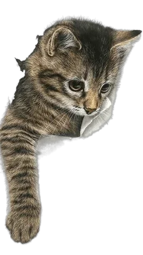 кити | @Stick4Gram - 