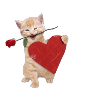 Стикер кити | @Stick4Gram - 3