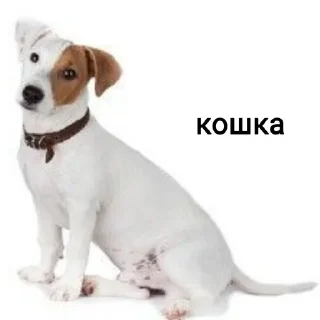 Sticker Создано в @sozdat_stikery_bot - 1