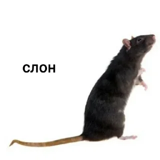 Sticker Создано в @sozdat_stikery_bot - 3