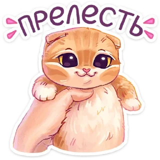 Стикер Мявс | @Stick4Gram - 1