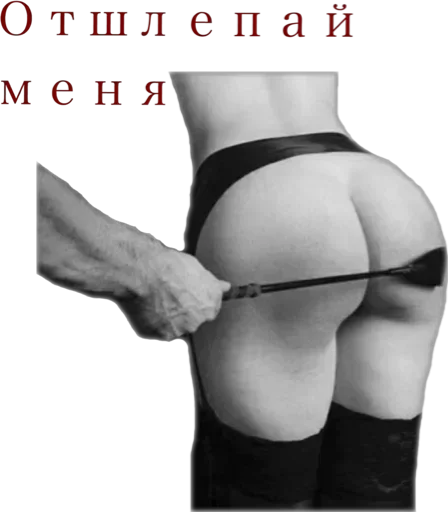 Sticker pack3304_by_stickplusbot - 1