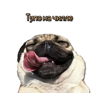 Стикер Стикеры ➡️ @DuoSticker_bot - 8