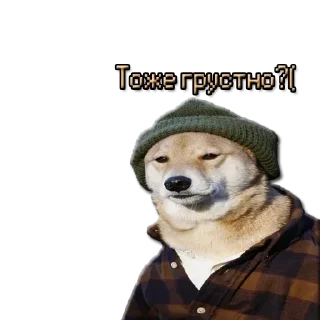 Стикер Стикеры ➡️ @DuoSticker_bot - 5