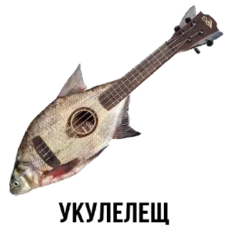 Стикер Стикеры ➡️ @DuoSticker_bot - 2