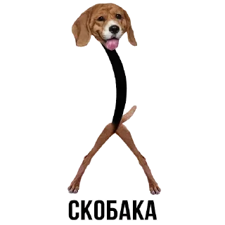 Стикер Стикеры ➡️ @DuoSticker_bot - 7