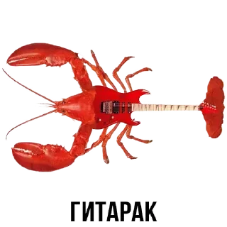 Стикер Стикеры ➡️ @DuoSticker_bot - 8