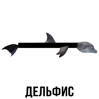 Стикер Стикеры ➡️ @DuoSticker_bot - 9