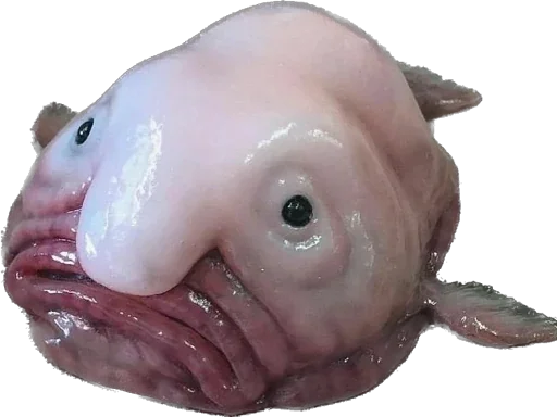 Создано в @sozdat_stikery_bot - 