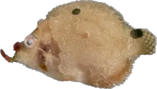 Sticker Создано в @sozdat_stikery_bot - 6