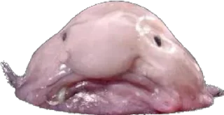 Sticker Создано в @sozdat_stikery_bot - 2