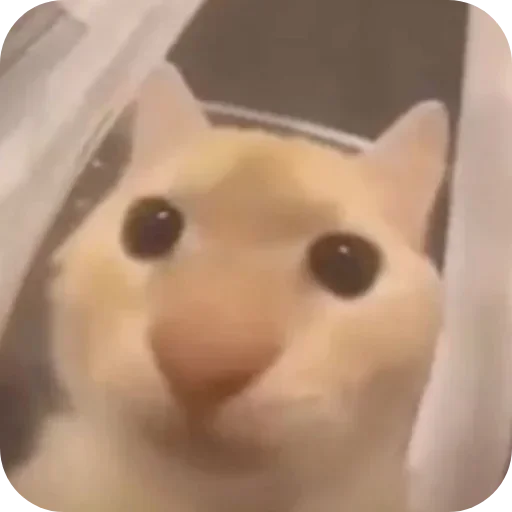 Sticker pack398_by_Stikeryrubot - 1