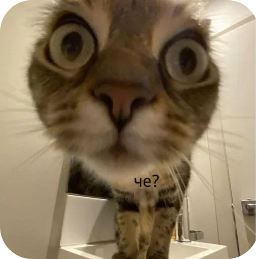 Стикер pack398_by_Stikeryrubot - 1