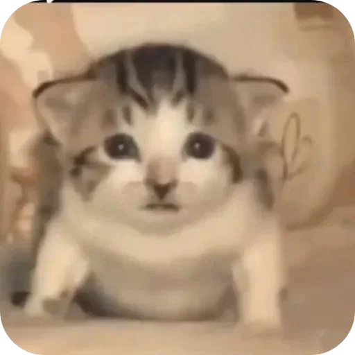 Sticker pack398_by_Stikeryrubot - 1