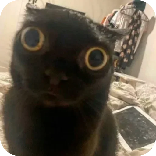 Sticker pack398_by_Stikeryrubot - 1