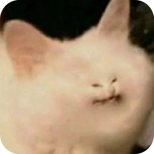 Sticker pack398_by_Stikeryrubot - 1