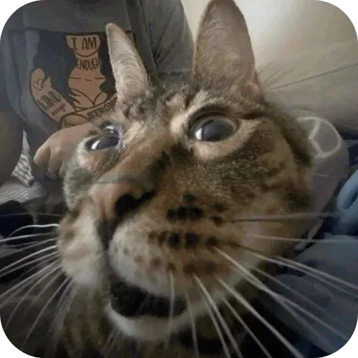 Sticker pack398_by_Stikeryrubot - 1