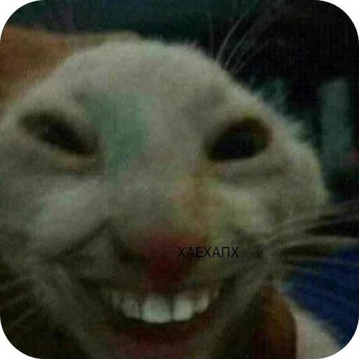 Sticker pack398_by_Stikeryrubot - 1