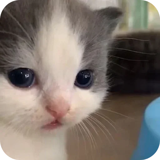 Sticker pack398_by_Stikeryrubot - 1