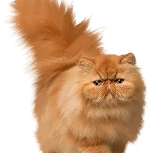 Sticker pack398_by_Stikeryrubot - 1