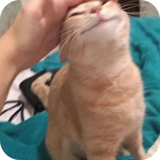 Sticker pack398_by_Stikeryrubot - 1