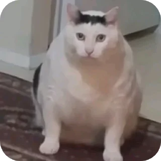 Sticker Стикеры ➡️ @Stikeryrubot - 2