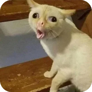 Sticker Стикеры ➡️ @Stikeryrubot - 10