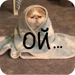 Sticker Стикеры ➡️ @Stikeryrubot - 6