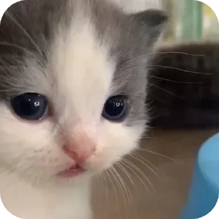 Sticker Стикеры ➡️ @Stikeryrubot - 9