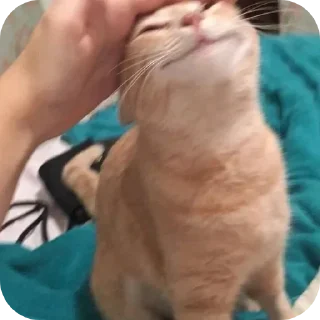 Sticker Стикеры ➡️ @Stikeryrubot - 7