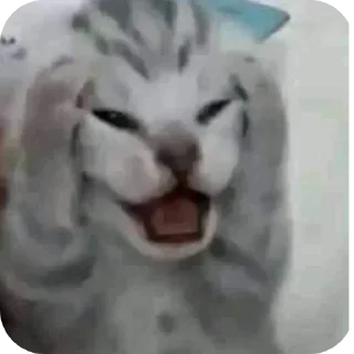 Sticker Стикеры ➡️ @Stikeryrubot - 3