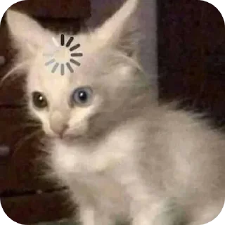 Sticker Стикеры ➡️ @Stikeryrubot - 1