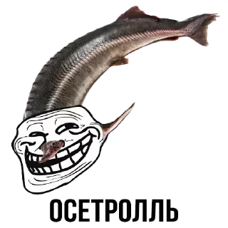 Sticker Стикеры ➡️ @StickerDreamBot - 11