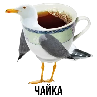 Sticker Стикеры ➡️ @StickerDreamBot - 6