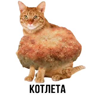 Sticker Стикеры ➡️ @StickerDreamBot - 1