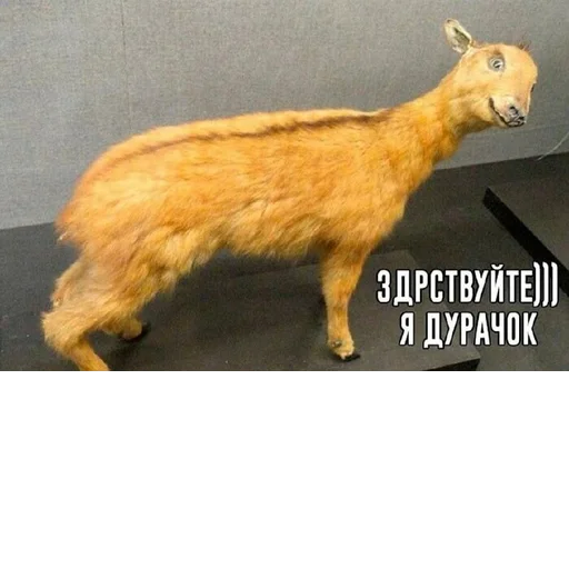 Создано в @sozdat_stikery_bot - 