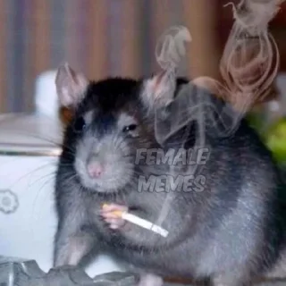 Стикер Создано в @sozdat_stikery_bot - 5