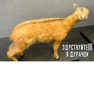 Стикер Создано в @sozdat_stikery_bot - 7