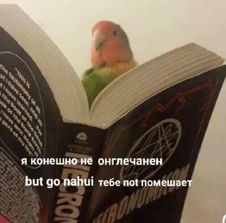 Sticker Стикеры ➡️ @StickerDreamBot - 3