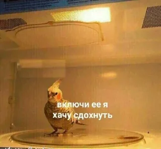 Sticker Стикеры ➡️ @StickerDreamBot - 10