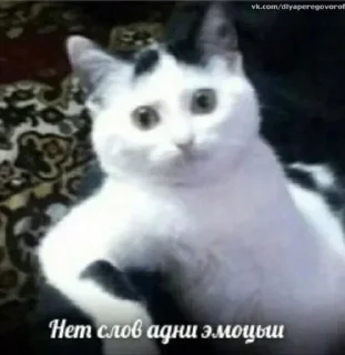 Sticker Стикеры ➡️ @StickerDreamBot - 7