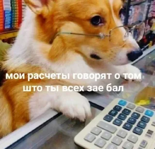 Sticker Стикеры ➡️ @StickerDreamBot - 4