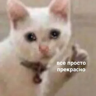 Sticker Стикеры ➡️ @StickerDreamBot - 5