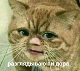 Sticker Стикеры ➡️ @StickerDreamBot - 11