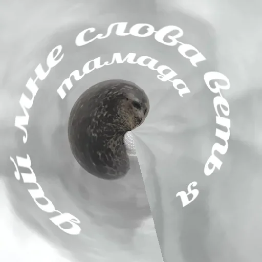 Sticker Стикеры ➡️ @Stick4uBot - 11