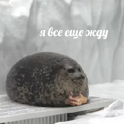 Sticker Стикеры ➡️ @Stick4uBot - 10