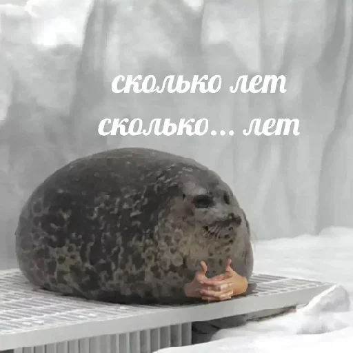 Sticker Стикеры ➡️ @Stick4uBot - 9