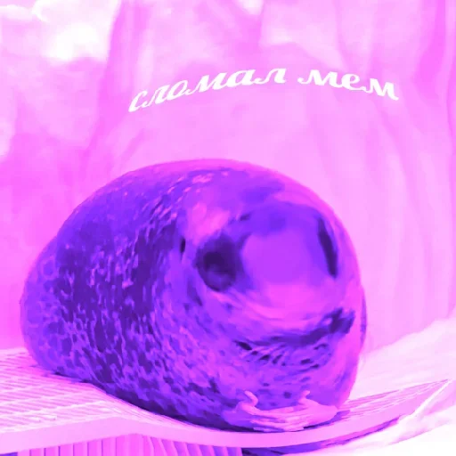 Sticker Стикеры ➡️ @Stick4uBot - 6