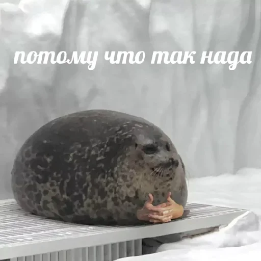 Sticker Стикеры ➡️ @Stick4uBot - 4